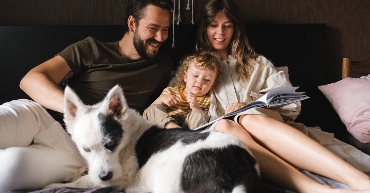 Hond willen? Ouders overtuigen! 🐶 - Uitleg voor kleuters