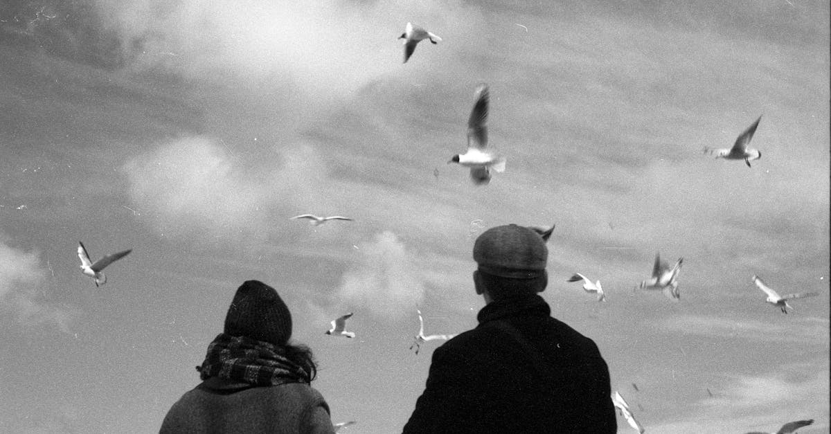 Waarom kunnen vogels vliegen en wij niet? - Uitleg voor kleuters
