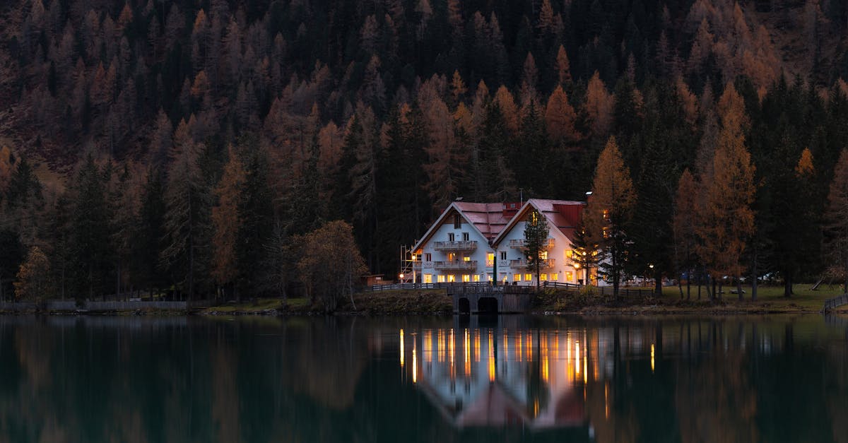 Waarom vallen bladeren in de herfst? - Uitleg voor kleuters