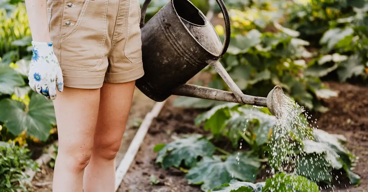 Planten water geven: hoe doe je dat? - Uitleg voor kleuters
